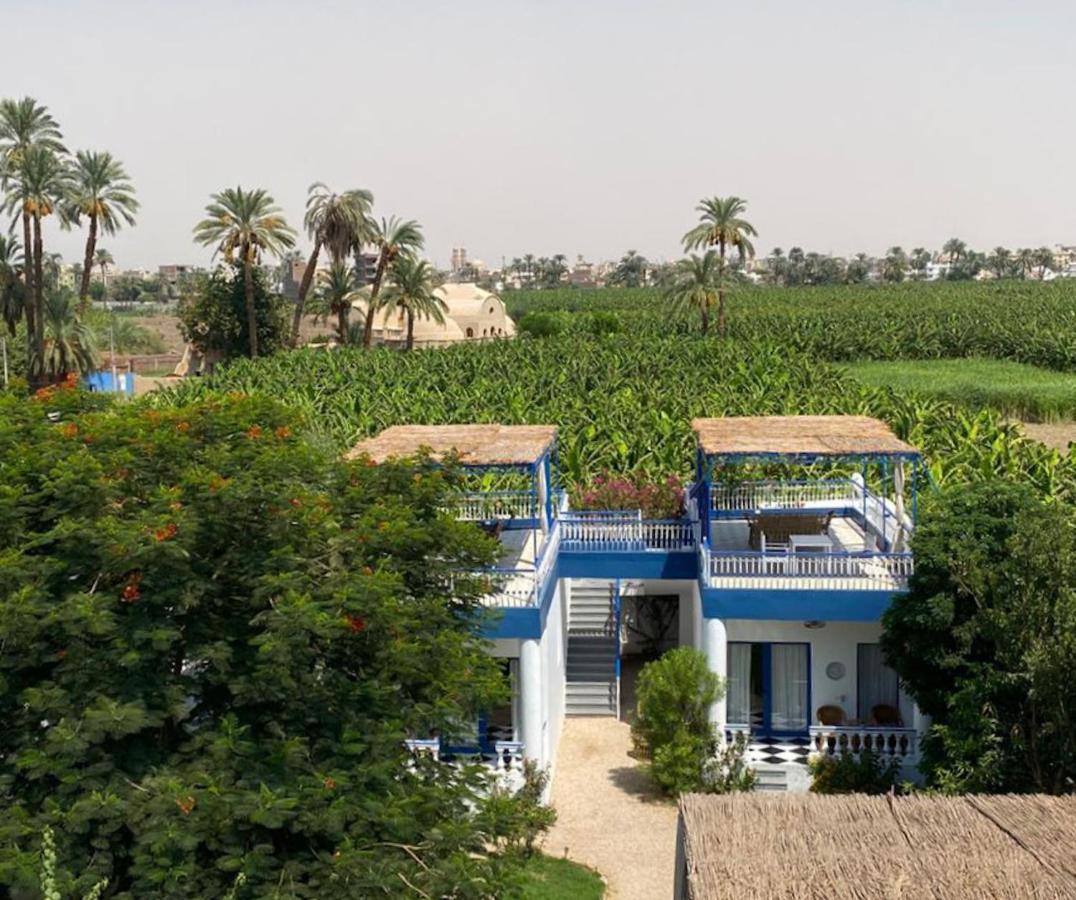 Villa Kaslan Apartments Luxor Eksteriør bilde