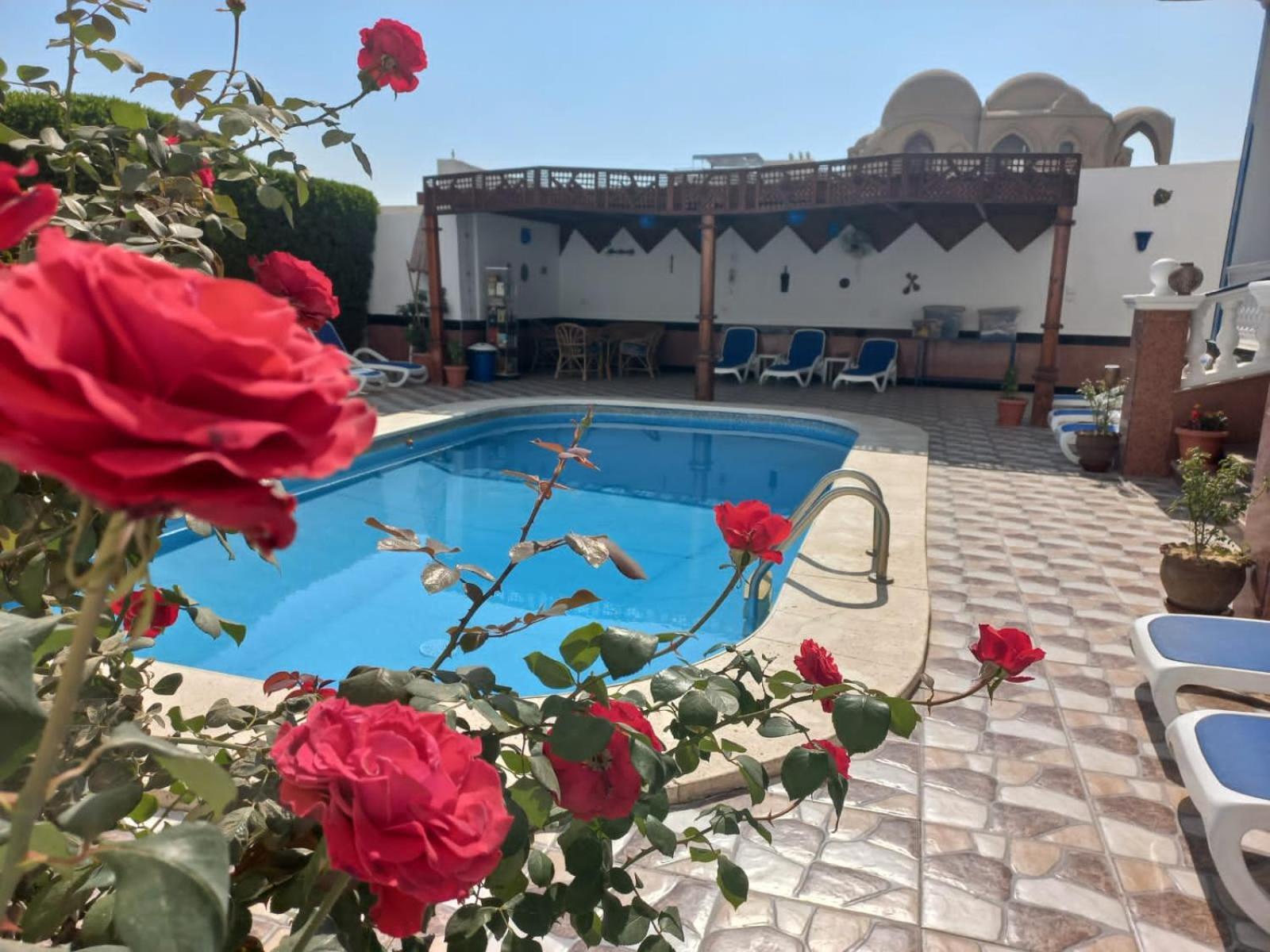 Villa Kaslan Apartments Luxor Eksteriør bilde